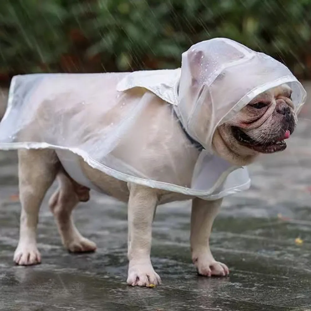 ClearPup Portable Transparent Frenchie Raincoat