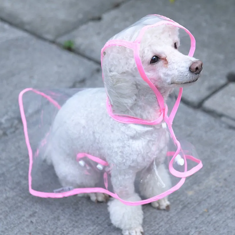 Dog Raincoat Pet Clothing Pet Transparent