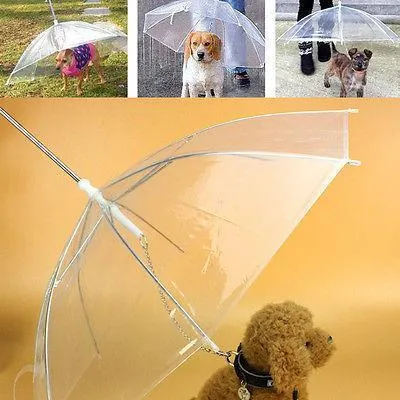 Dog Umbrella