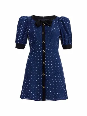 Polka Dot Silk Dress