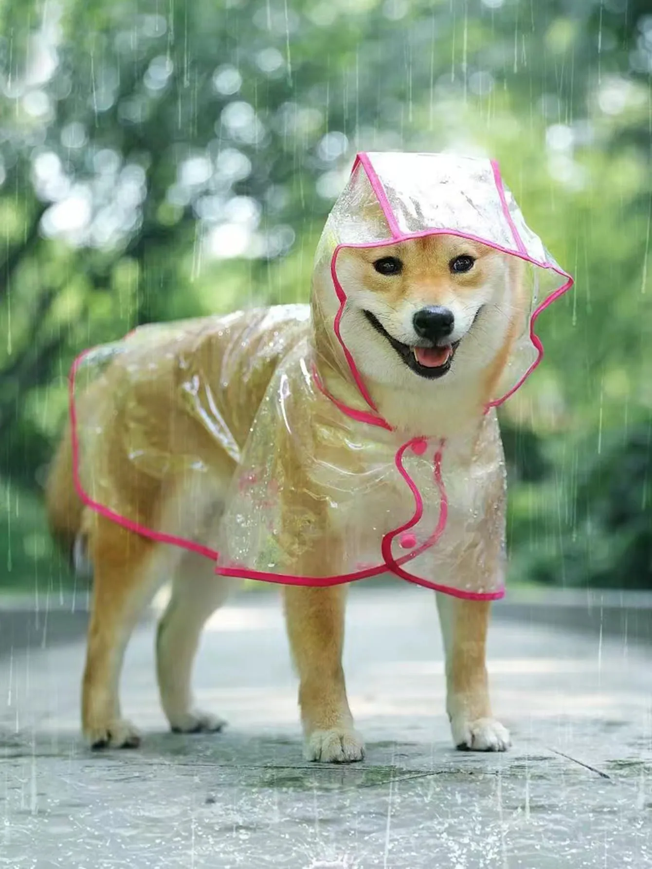 Pu Waterproof Pet Jacket, Transparent Pet Raincoat, Fashionable Full Coverage Dog Raincoat For Outdoor Activities