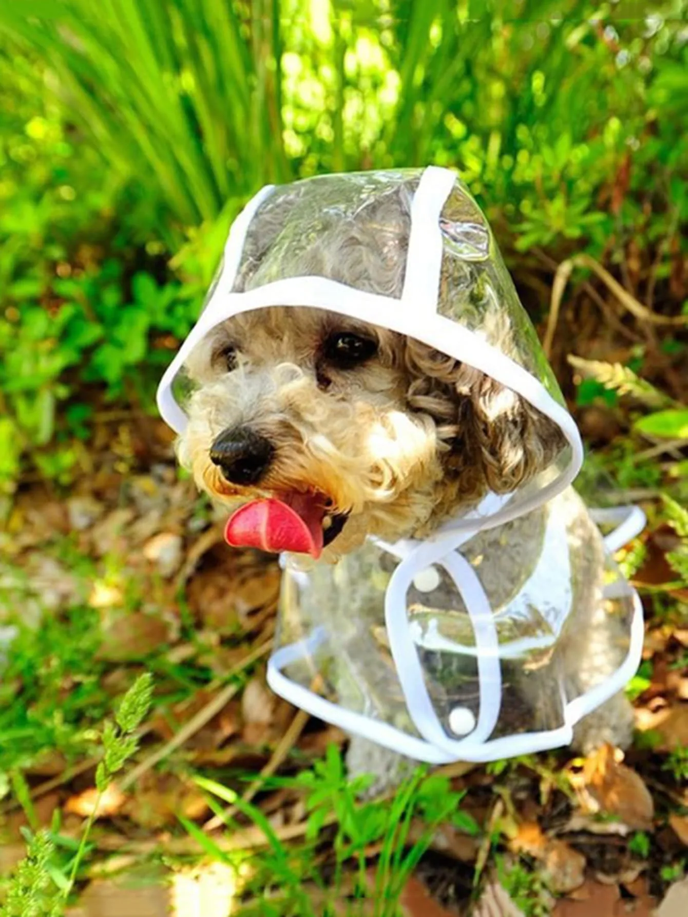 Pu Waterproof Pet Jacket, Transparent Pet Raincoat, Fashionable Full Coverage Dog Raincoat For Outdoor Activities