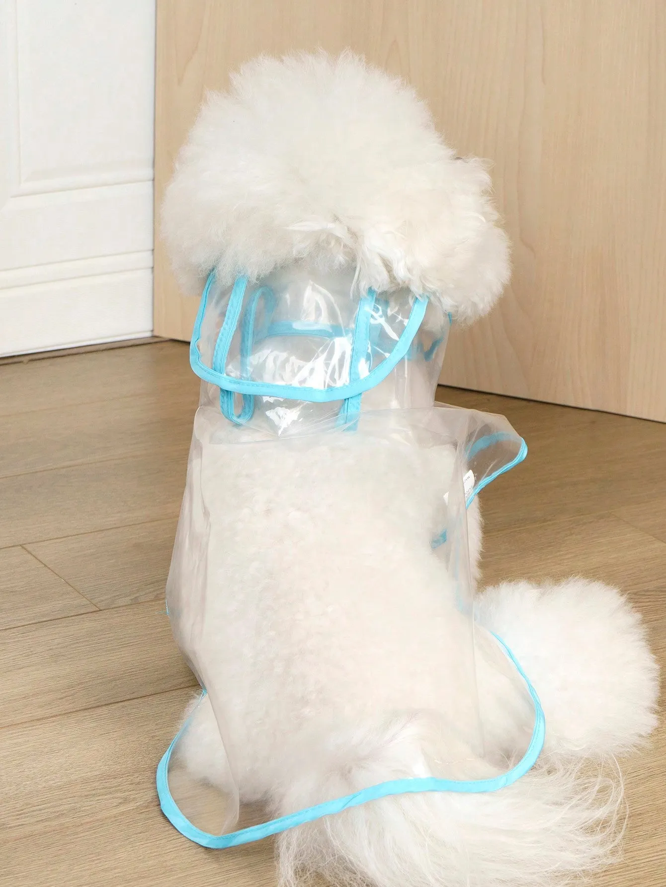 Transparent Blue Waterproof Raincoat With Trim For Dogs And Cats To Wear When It Rains And They Go Out