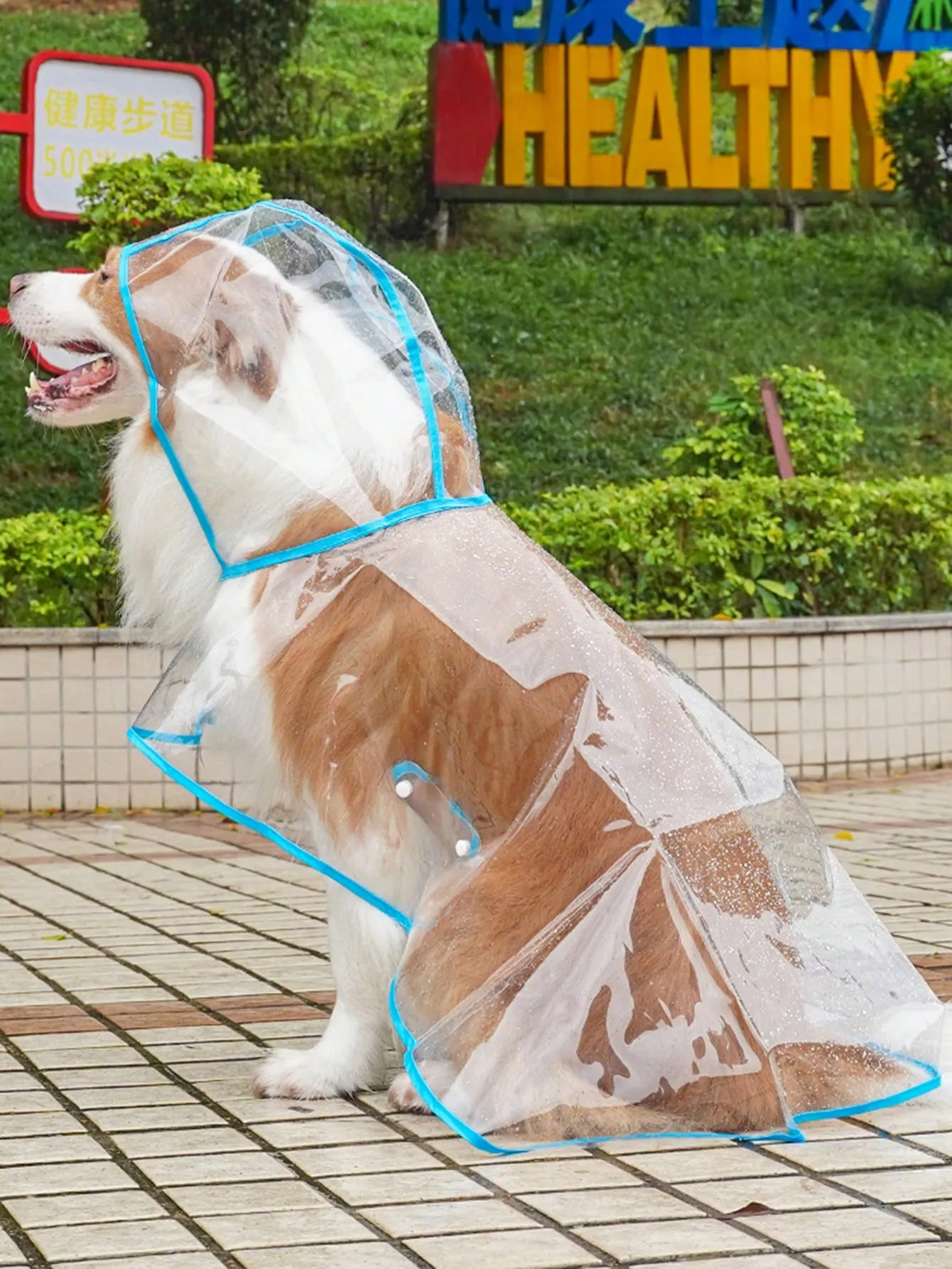 Transparent Blue Waterproof Raincoat With Trim For Dogs And Cats To Wear When It Rains And They Go Out