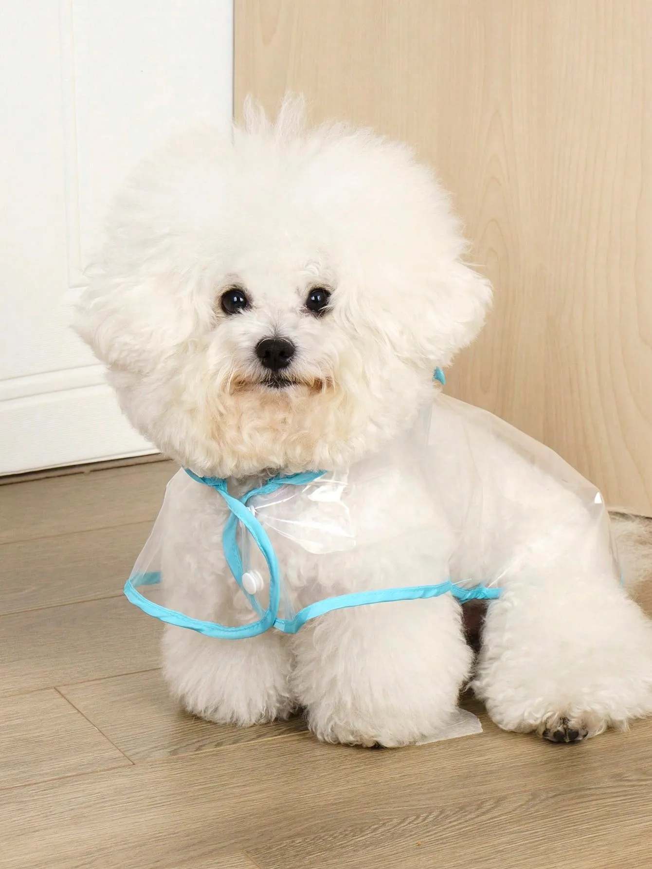 Transparent Blue Waterproof Raincoat With Trim For Dogs And Cats To Wear When It Rains And They Go Out