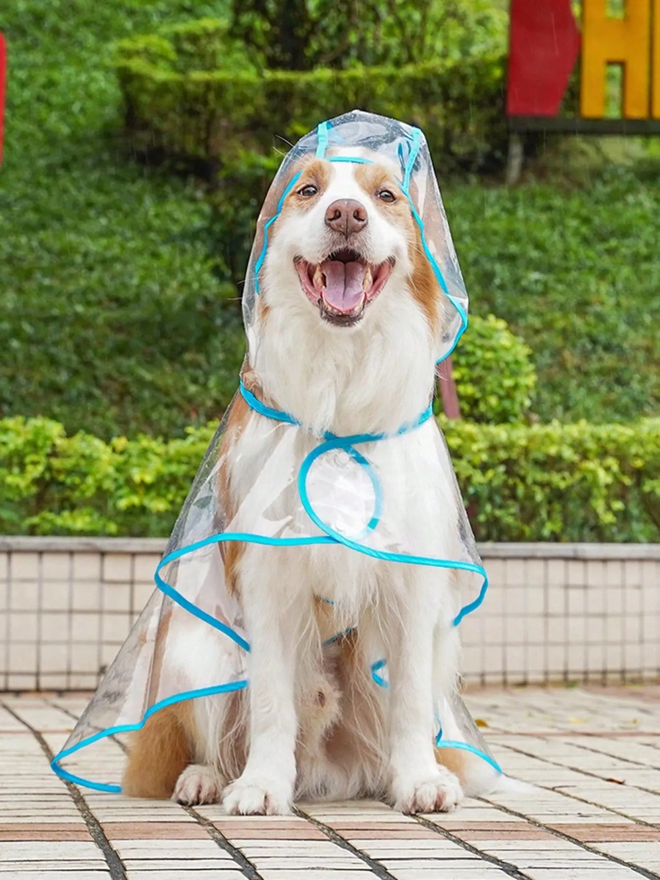 Transparent Blue Waterproof Raincoat With Trim For Dogs And Cats To Wear When It Rains And They Go Out